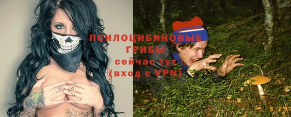 твердый Алексин